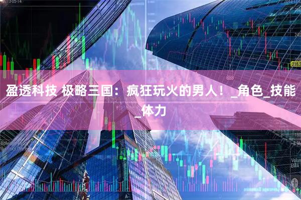 盈透科技 极略三国：疯狂玩火的男人！_角色_技能_体力