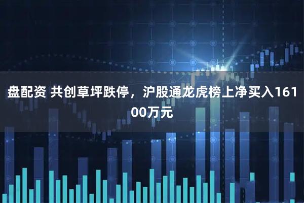 盘配资 共创草坪跌停，沪股通龙虎榜上净买入16100万元