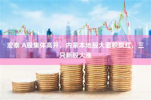 宏泰 A股集体高开，内蒙本地股大面积飘红，三只新股大涨